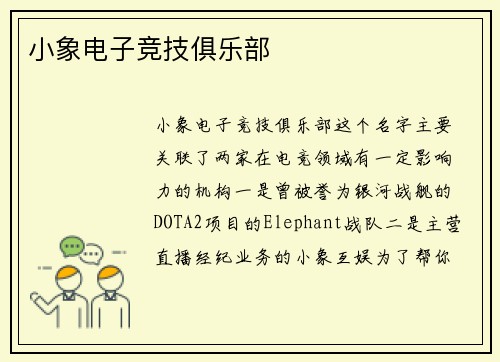小象电子竞技俱乐部