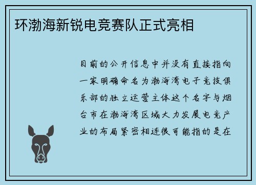 环渤海新锐电竞赛队正式亮相